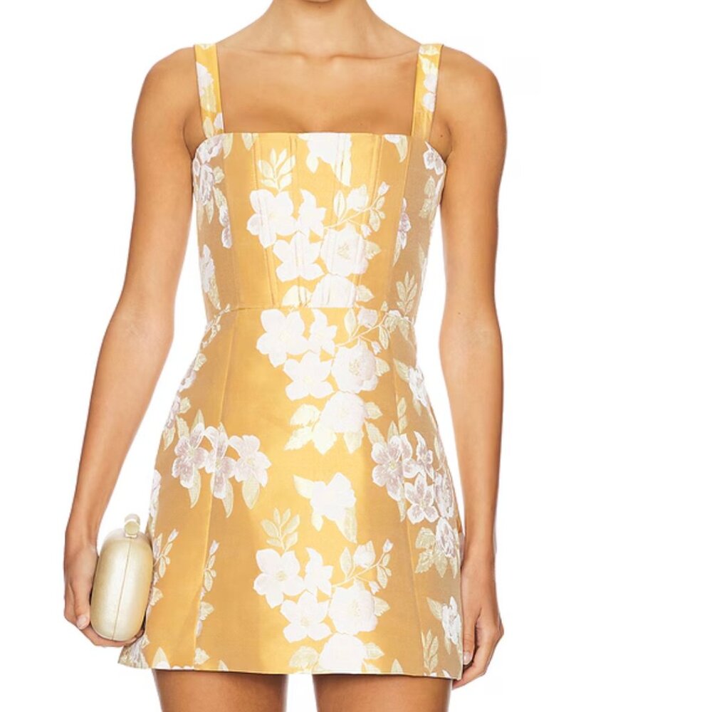 V. Chapman Kimmy Mini Dress